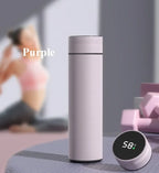 Temperature Display Stainless Steel Thermos